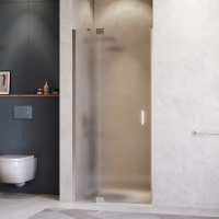 Душевая дверь в нишу RGW Hotel HO-014 1000х2000 профиль хром, стекло матовое