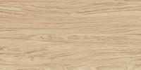 Керамогранит Kerama Marazzi Олива бежевый обрезной SG565220R 60х119,5 см