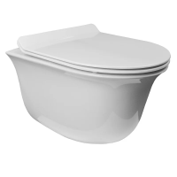 Унитаз Azario Felice AZ-0051 подвесной, безободковый, с сиденьем микролифт, 49х36х36 см, белый