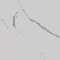 Керамогранит Kerama Marazzi SG849992R Монте Тиберио белый лаппатированный обрезной 80x80x0,9