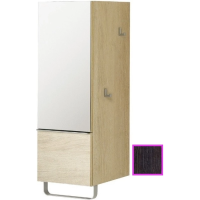 Полуколонна темный дуб с зеркальной дверцей шарниры слева Jacob Delafon Odeon Up EB893G-NR