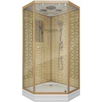 Душевая кабина Niagara Luxe 100x100 NG-7702DG без гидромассажа