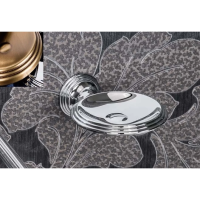 Мыльница Colombo Design Hermitage B3301.ANTB