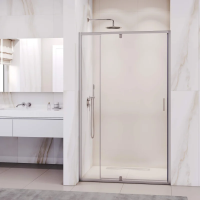 Душевая дверь в нишу RGW Passage PA-008 80 см, профиль хром