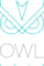 Owl 1975