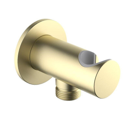 Шланговое подключение Aquatek AQ2464BG цвет Золото шлифованное